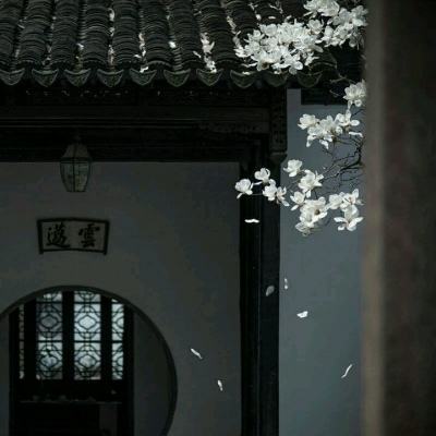 黑柳彻子携新作《续窗边的小豆豆》到访中国：用一生去绽放
